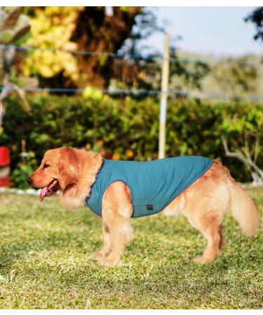 Kickred 2 Pack Dog Shirts - Fast Drying Breathable Sleeveless Vests for Large & Small Dogs - Mint Blue & Orange Yellow XL - Buy Online on GoSupps.com