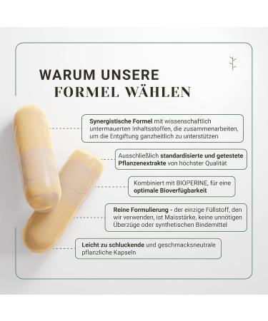 Natural Thermogenic Fat Burner for Weight Loss | Vegan Formula with Green Tea Turmeric Ginger & More - 120 Capsules (2-Month Supply) - Buy Online on GoSupps.com