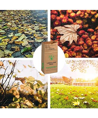 AimGrowth 30 Gallon Heavy Duty Brown Paper Lawn and Leaf Bags with 20 GAL Dustpan-Type Bag - 10 Count | Tear Resistant Yard Waste Bags - Buy Online on GoSupps.com