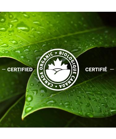 Nabob Organic Gourmet Blend Ground Coffee 915g & Biluocun Nabob 100% Colombian Coffee 100% Compostable Pods 56 count (Pack of 1) 915 g (Pack of 1) Coffee + Pods 56 count (Pack of 1) - Buy Online on GoSupps.com