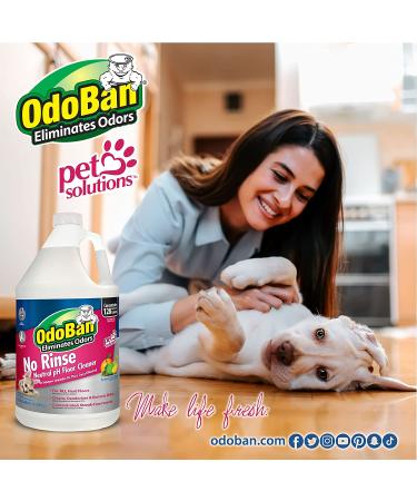 OdoBan No Rinse Neutral pH Floor Cleaner Concentrate - 2 Gal | Effective & Eco-Friendly - Buy Online on GoSupps.com
