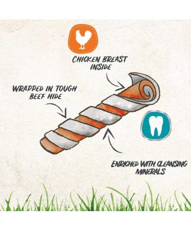 8in1 Pro Dental Twisted Sticks - healthy chew sticks for dogs for dental care 35 pieces (pack of 1) Dental 190 g (Pack of 1) - Buy Online on GoSupps.com
