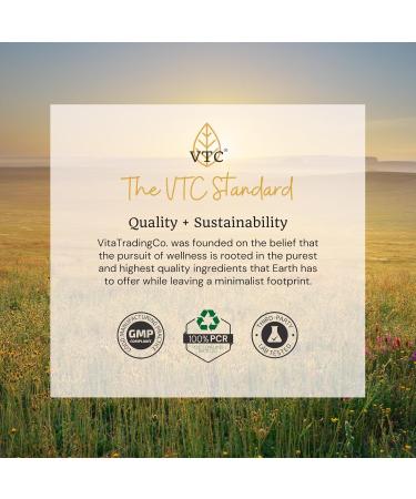 VTC VitaTradingCo. Zinc Picolinate | 50mg Elemental Zinc | Highly Absorbable | Immune & Antioxidant Support | for Skin Health & Cellular Function | 60 Veggie Capsules - Buy Online on GoSupps.com