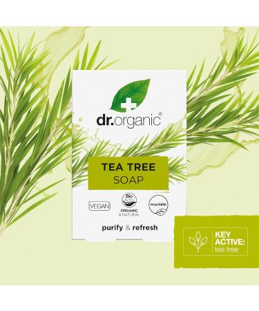 Buy Dr Organic Tea Tree Soap 100ml | Natural Antibacterial Cleanser | International Shipping - Buy Online on GoSupps.com