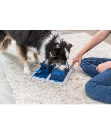 Trixie Poker Box 2 - Interactive Dog Toy for Intelligence & Strategy | 31x31cm | Perfect for Employment - Shop Now! - Buy Online on GoSupps.com