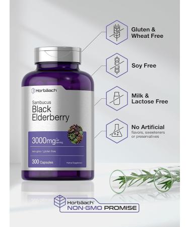 Horbaach Black Elderberry Capsules 3000mg | 300 Count Non-GMO Gluten Free | Sambucus Supplement - Buy Online on GoSupps.com