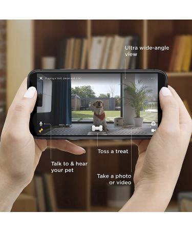 Petcube Bites 2: Wi-Fi Pet Camera with Treat Dispenser & Alexa Built-in | 1080p HD Video | 160 Full-Room View | 2-Way Audio | Night Vision | Pet Monitor for Dogs and Cats - Buy Online on GoSupps.com
