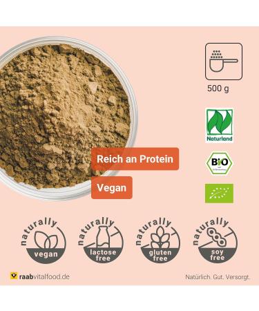 Raab Vitalfood Bio Pumpkin Seed Protein Powder - 59% Protein Vegan Organic 500g from Austria - Buy Online on GoSupps.com