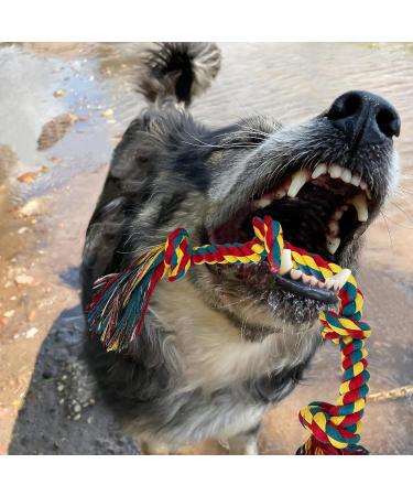 SHCNSJC Dog Toys Puppy Teething Rope Chew Toy for Small Dogs Indestructible for Boredom Interactive Large Tough Ball On A Ropes Medium & Small Chew Toy 12 PCS - Buy Online on GoSupps.com