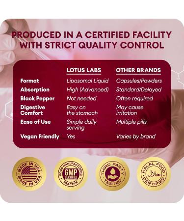 Liposomal Turmeric Curcumin with Resveratrol Liquid Formula with High Absorption 30 Servings Vegan Non-GMO Gluten-Free 6 fl oz (180 ml) - Buy Online on GoSupps.com