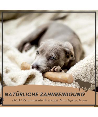 Supravit Natural Coffee Wood Chewing Bones for XS Puppies | Long-Lasting Play & Excitement | Caustab Puppy Chew Toys - Buy Online on GoSupps.com