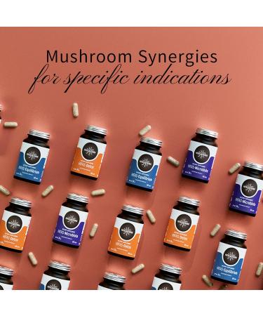Hifas da Terra HIFAS-MICROBIOTA - Organic Mushroom Complex Supplement with Lion's Mane Reishi and Shiitake Nootropic & Adaptogenic Mushroom Capsules for Adults Gut Immune & Brain Health - 60 Caps - Buy Online on GoSupps.com