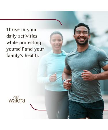 Waiora MegaDefense Mushroom Supplement - Mushroom Capsules for Daily Wellness 6 Mushroom-Supplement: Reishi Turkey Tail Cordyceps Maitake Agaricus & Shiitake Non-GMO (1 Bott/60 Veggie Caps) - Buy Online on GoSupps.com