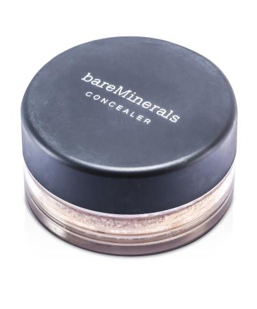 Bare MInerals Well Rested Eye Color SPF 20 0.07 oz