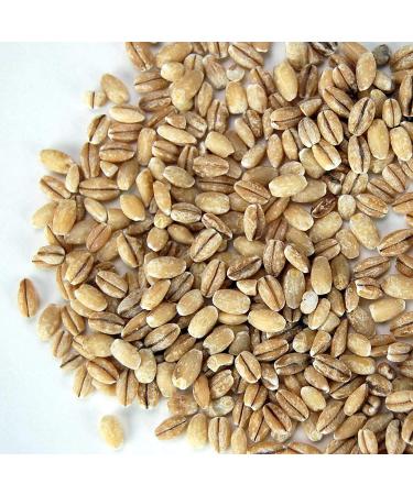 Organic Pearled Barley Groats (Hulled) - 2.5 Lb Re-Sealable Package for Bread, Beer Making, and Animal Feed - Buy Online on GoSupps.com
