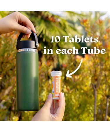 Drinklits Ginger Lime & Orange Electrolyte Sports Drink Tablets - 0g Sugar Natural Flavors 60 Servings | Summer Travel Bundle (6 Tubes - Buy Online on GoSupps.com