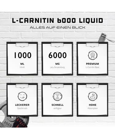 L-Carnitine 6000 Liquid 1000ml - High-Dose 6000mg Amino Workout Drink - Vegan Cherry Madness Flavor - Best International Shipping - Buy Online on GoSupps.com