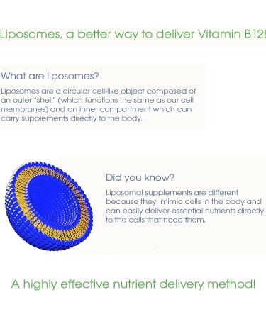 UltimateVitality Liposomal B12 Methylcobalamin Liquid with Folate - Maximum Absorption Formula - 2 Ounces - Buy Online on GoSupps.com