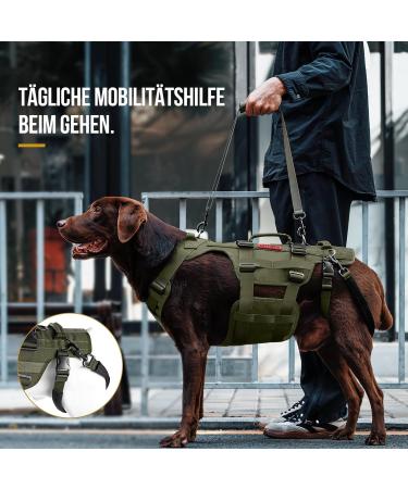 Buy Oneigris Dog Dishes - Invictus Support & Lifting Dishes for Medium & Large Dogs | Safety Dishes with 3 Handles & Adjustable Straps - M Green - Buy Online on GoSupps.com