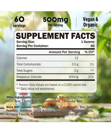 GREABBY Potassium Gummies & Magnesium Gummies Potassium Chloride 500mg Magnesium Glycinate 500mg Mineral Supplements for Family - Buy Online on GoSupps.com