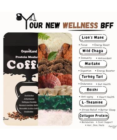 Protein Mushroom Coffee by OrganiiLand | Ground Coffee with Collagen Lion's Mane Chaga Turkey Tail Reishi Maitake L-Theanine | Focus Energy Immunity and Digestion | 30 Servings - Buy Online on GoSupps.com