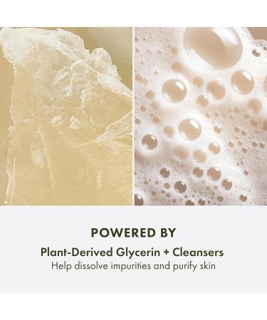 Origins Plantfusion Conditioning Hand & Body Wash | Cleanses & Conditions | With Glycerin 6.7 Fl Oz - Buy Online on GoSupps.com