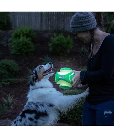 Chuckit! CH32300 Kick Fetch Max Glow Small Green - Best Interactive Dog Toy for Nighttime Play | International Shipping Available - Buy Online on GoSupps.com