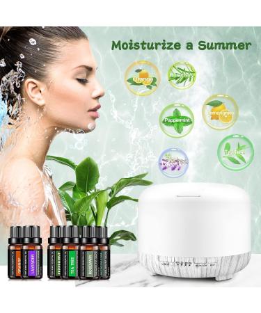 Essential Oils Gift Set - 6 Pure Aromatherapy Oils (Rosemary Lavender Lemon Grass Orange Peppermint Tea Tree) 10ML | International Shipping - Buy Online on GoSupps.com