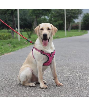 Suredoo Adjustable Dog Harness for Small & Medium Dogs | No Pull Reflective Safety Harness for Puppies - Soft & Comfortable (Small Pink) - Buy Online on GoSupps.com