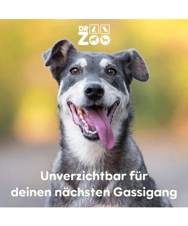 DR ZOO Dog Pipe - Effective Dog Training & Recall | Premium Dog Accessories | White Dog Whistles Design - Buy Online on GoSupps.com