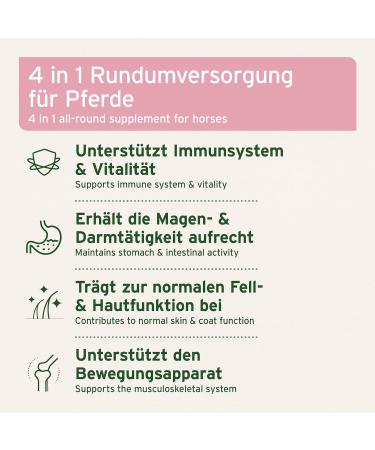 The original AniForte 4 in 1 Complete 3 kg for BT beer horses rich in prebiotika vital mineral vitamins and vitalins for new movements and quality of life - Buy Online on GoSupps.com