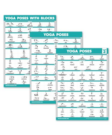 Palace Learning 3 Pack - Yoga Poses Poster Volume 1 & 2 + Yoga Positions with Yoga Block - Beginner Yoga Position Exercise Charts - English and Sanskrit Names 18 x 24 LAMINATED