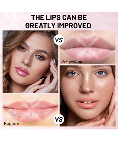  Prreal 3 Colors Moisturizing Lip Gloss Fruit Hydrating Lip Balm for Full Lips Ink Lip Oil Waterproof Up to 24 Hours Liquid Lipstick for Treatment of Lips  - Buy Online on GoSupps.com