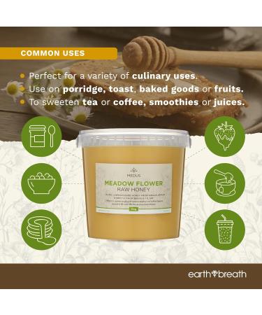 Earthbreath Miel brut de fleurs de prairie 3 kg Biologique pur non pasteuris et non filtr Superaliments sains dulcorant naturel pour la cuisine le caf le th le jus les boissons - Buy Online on GoSupps.com
