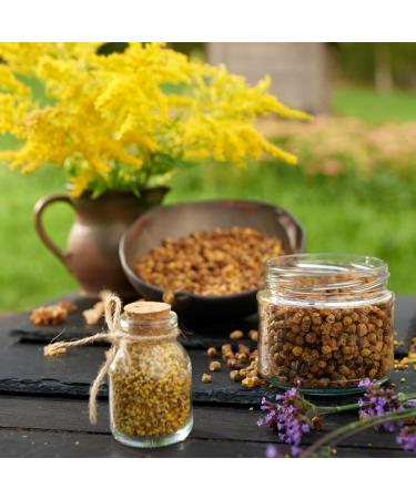 Earthbreath Pain d'abeille 170 g Perga/Ambrosia Pollen d'abeille naturellement ferment Soutien immunitaire Sans additifs artificiels - Buy Online on GoSupps.com