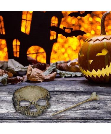 Skull Hair Pin for Woman Halloween Retro Plating Hairdressing Skull Hair Clip Gothic Halloween Hair Accessories for Party Makeup Cosplay Costume Goth Hair Clips - Buy Online on GoSupps.com