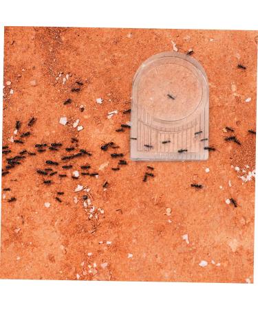 VILLCASE 4 Pcs Ant Water Feeder Mini Water Dispenser Ant Drinking Tools Ant Water Drinking Bowl Pet Ant Nest 4x4cmx2pcs Transparent Colorx2pcs - Buy Online on GoSupps.com