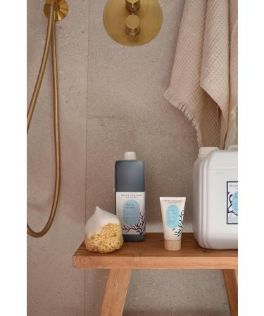  RELAIS THALASSO COSMETIQUE Relais Thalasso Cosm tique Bretonne Travel Shower Gel Toning Revitalizing Invigorating 75ml Brown Algae Extract Naturalness: 87% - Buy Online on GoSupps.com