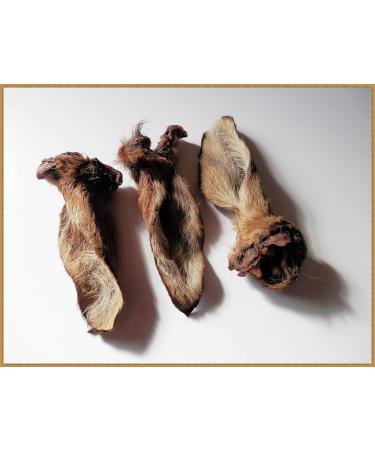 DriedDogTreats 10 ears 100% PURE FURRY DOE ROE-DEER VENISON EARS - treats chews snack NATURAL hypoallergenic - Buy Online on GoSupps.com