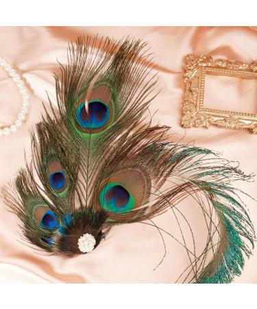 Boyrot Pfau Costume for Women - Stylish Peacock Hair Clips for 20s Carnival Fasching & Gatsby Cosplay - Buy Online on GoSupps.com
