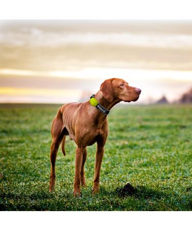KIPPY Silicone Cover for Evo Cat & Dog GPS Tracker | Protective Case with Button Closure | Durable Collar Attachment - Buy Online on GoSupps.com
