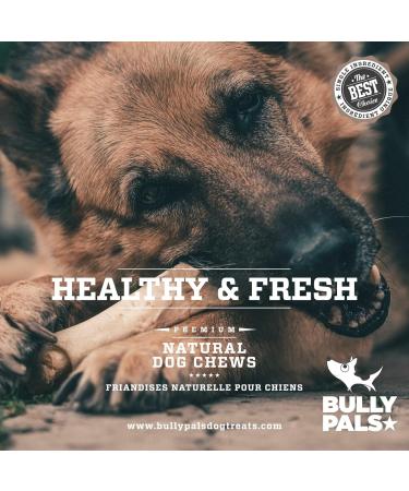 BULLY PALS - 7-8 inch Jumbo/Thick Bully Sticks - 6 Pack - Long Lasting All Natural Single Ingredient Dehydrated Dog Treats and Dental Chews - Buy Online on GoSupps.com