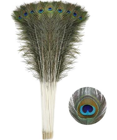 Soarer Long Peacock Feathers Bulk - 25pcs 32-35 inches for Vase, Holiday Decoration & DIY Crafts - Buy Online on GoSupps.com