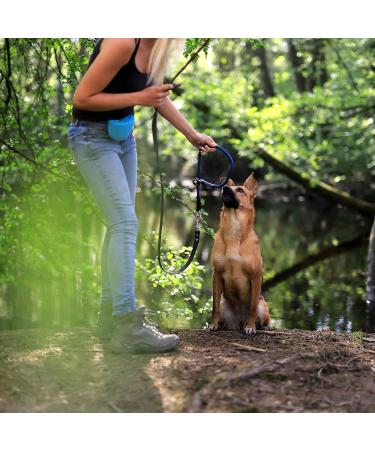 Lionto Dog Collar for Retrievers - 65 cm Blue Training Collar | Durable & Adjustable - Buy Online on GoSupps.com