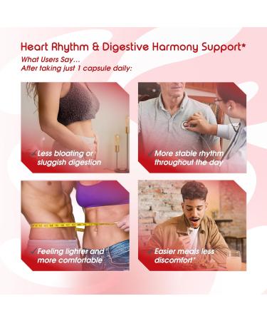 VITAL HERBAL Liposomal Cayenne Pepper with Hawthorn Berry & Ceylon Cinnamon Supports Digestion & Immune Health 150 Capsules 150 count (pack of 1) - Buy Online on GoSupps.com