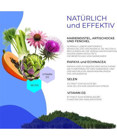 J.Armor Detox Depur - High Dose Milk Thistle & Artichoke Capsules | 20 Silymarin Capsules for Liver Health - International Shipping Available - Buy Online on GoSupps.com