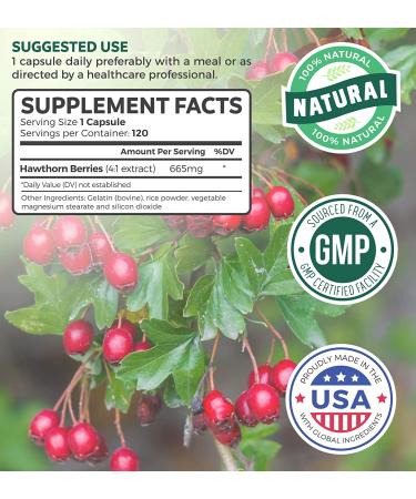 Hawthorn Berry Capsules | 4 Month Supply | High Strength Extract for Digestion & Heart Health | Concentrated from 2660mg Fresh Berries | 120 Vegan Pills - Buy Online on GoSupps.com