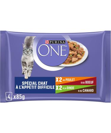 PURINA ONE Cat with Hard Appetite Tapered in Sauce Assorted Flavors Chicken & Beef & Turkey & Duck | Adult Cat Meal Bags | 4