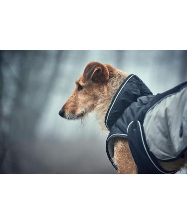 Shop HUNTER Uppsala Extreme Dog Coat - Winter Water-Repellent & Reflective | Size 65 Black/Grey - International Shipping! - Buy Online on GoSupps.com