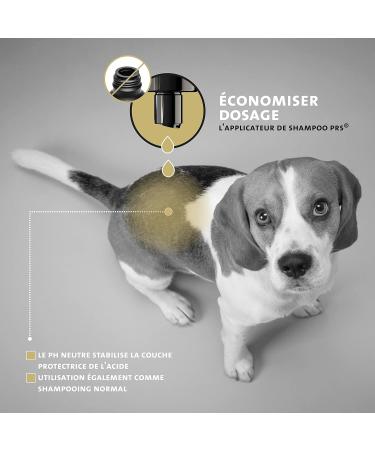 Peticare Dog Shampoo for Dandruff - Effective Care for Dry Skin Relieves Itching Treats Skin Unpleasant Odor - petDog Health 2114 - Buy Online on GoSupps.com